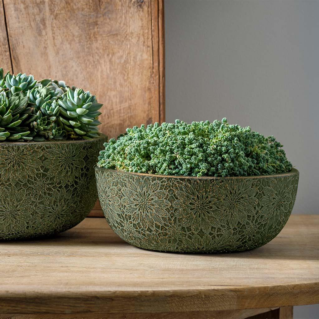 Cuenco Crisantemo || Verde con Bronce