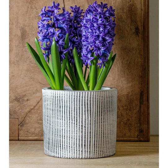 Pleated Planter || Dusty White