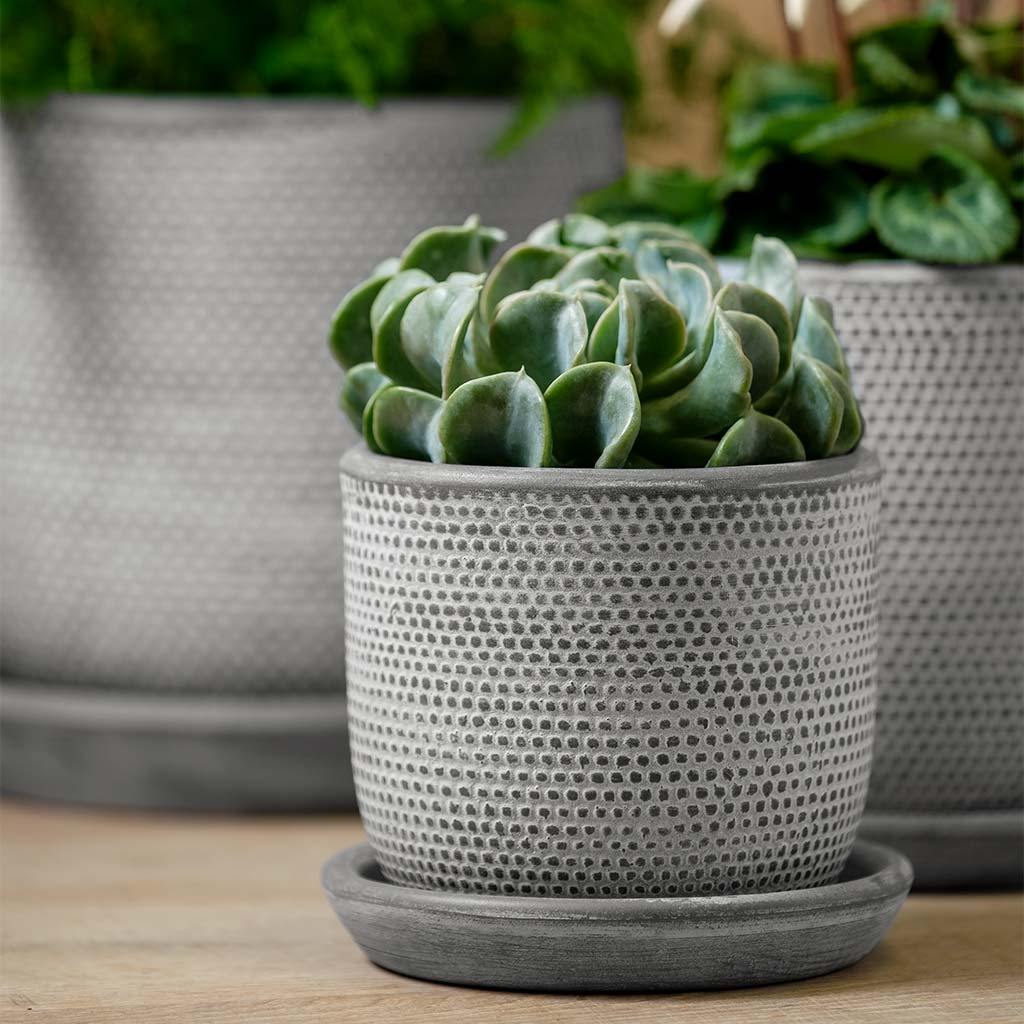 Cobblestone Planter || Grey & Whitewash