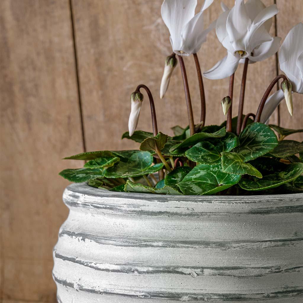 Etage Bowl || Grey & Whitewash