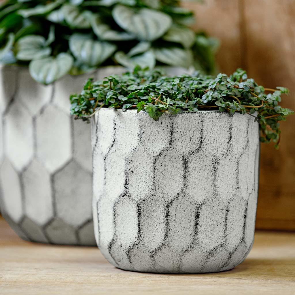 Polygon Planter || Dusty White