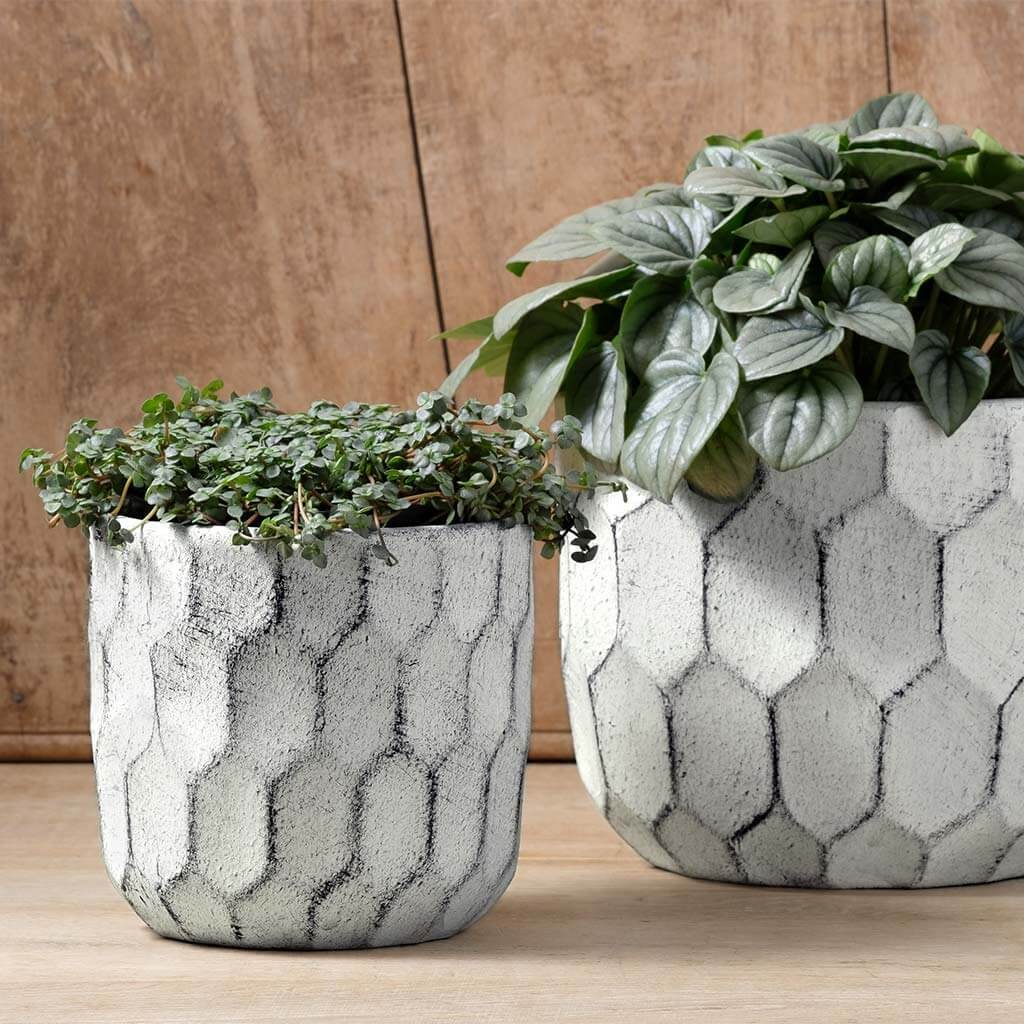 Jardinière Polygon || Blanc Poussiéreux