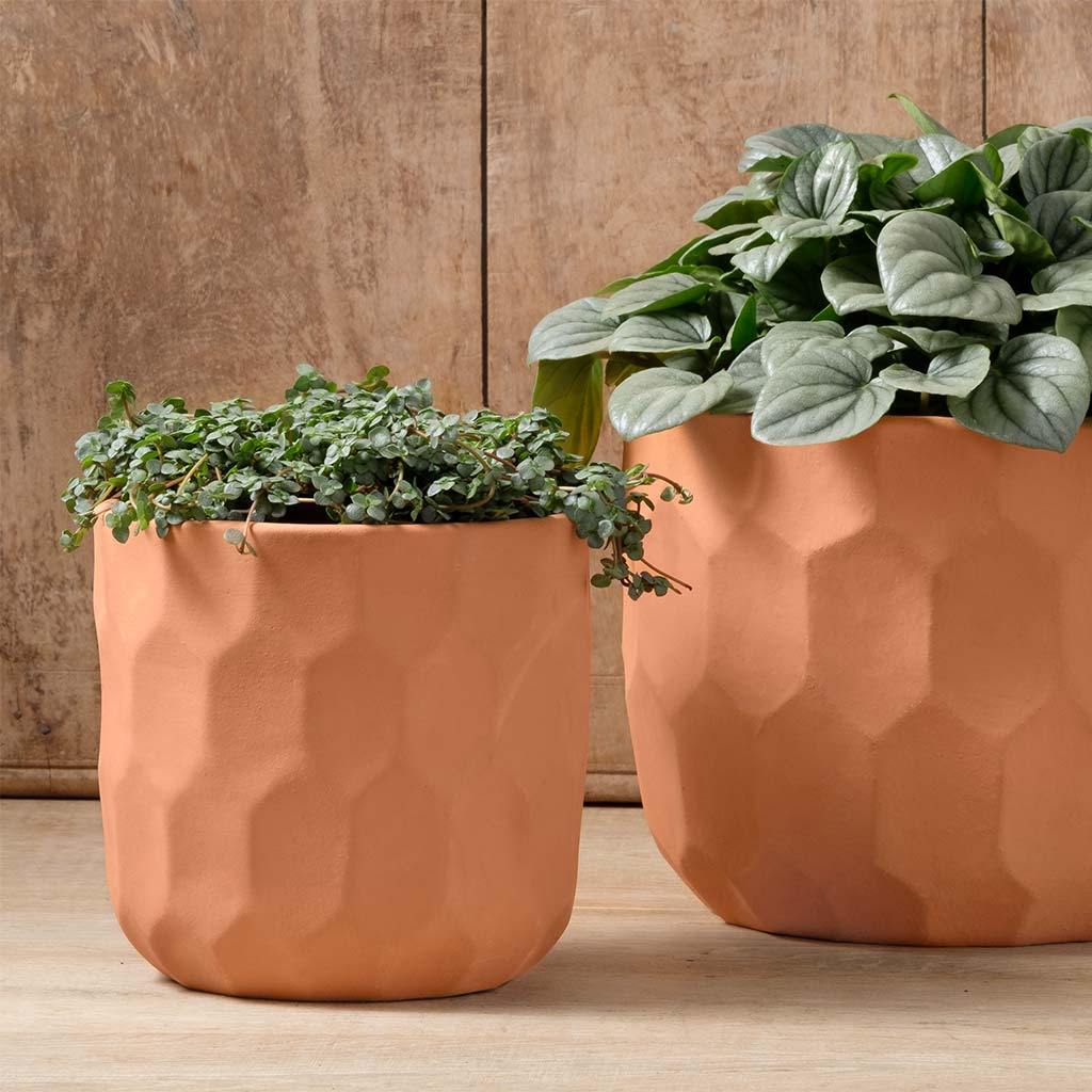 Polygon Planter || Terra Cotta