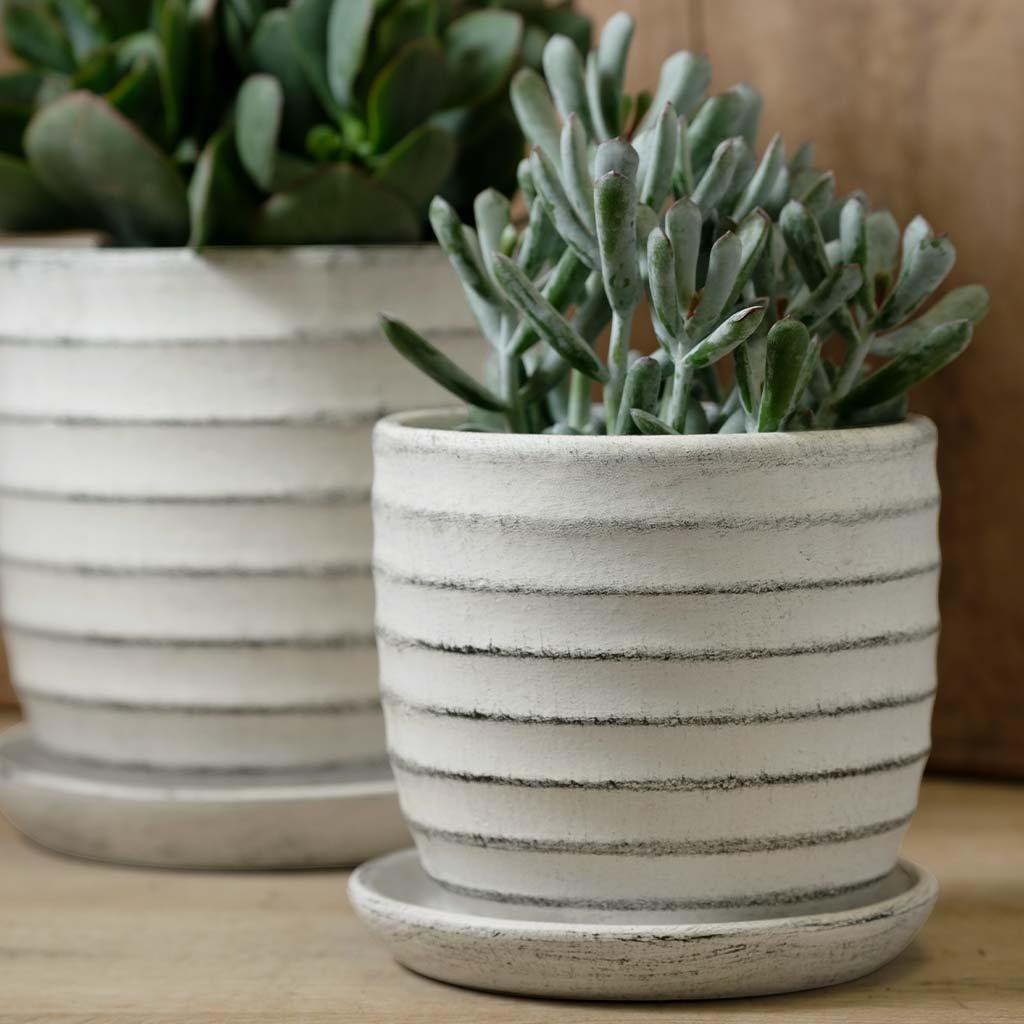 Parallel Plantenbak || Stoffig Wit