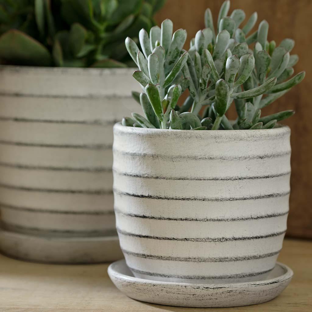 Parallel Planter || Dusty White