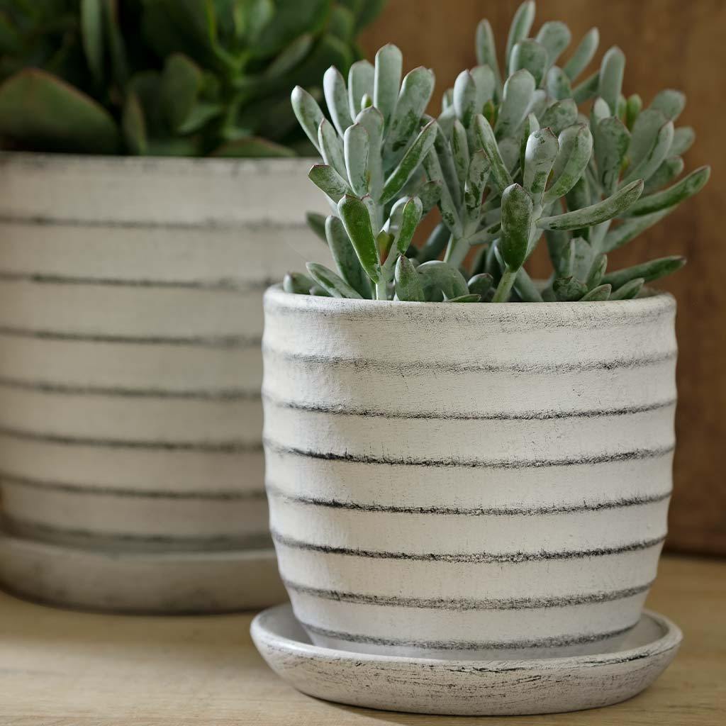 Parallel Plantenbak || Stoffig Wit