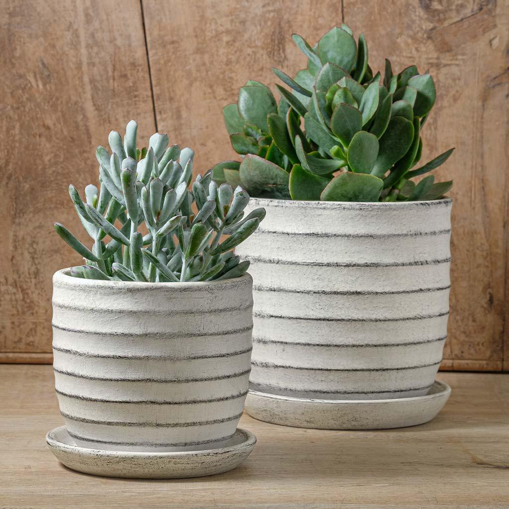 Parallel Plantenbak || Stoffig Wit
