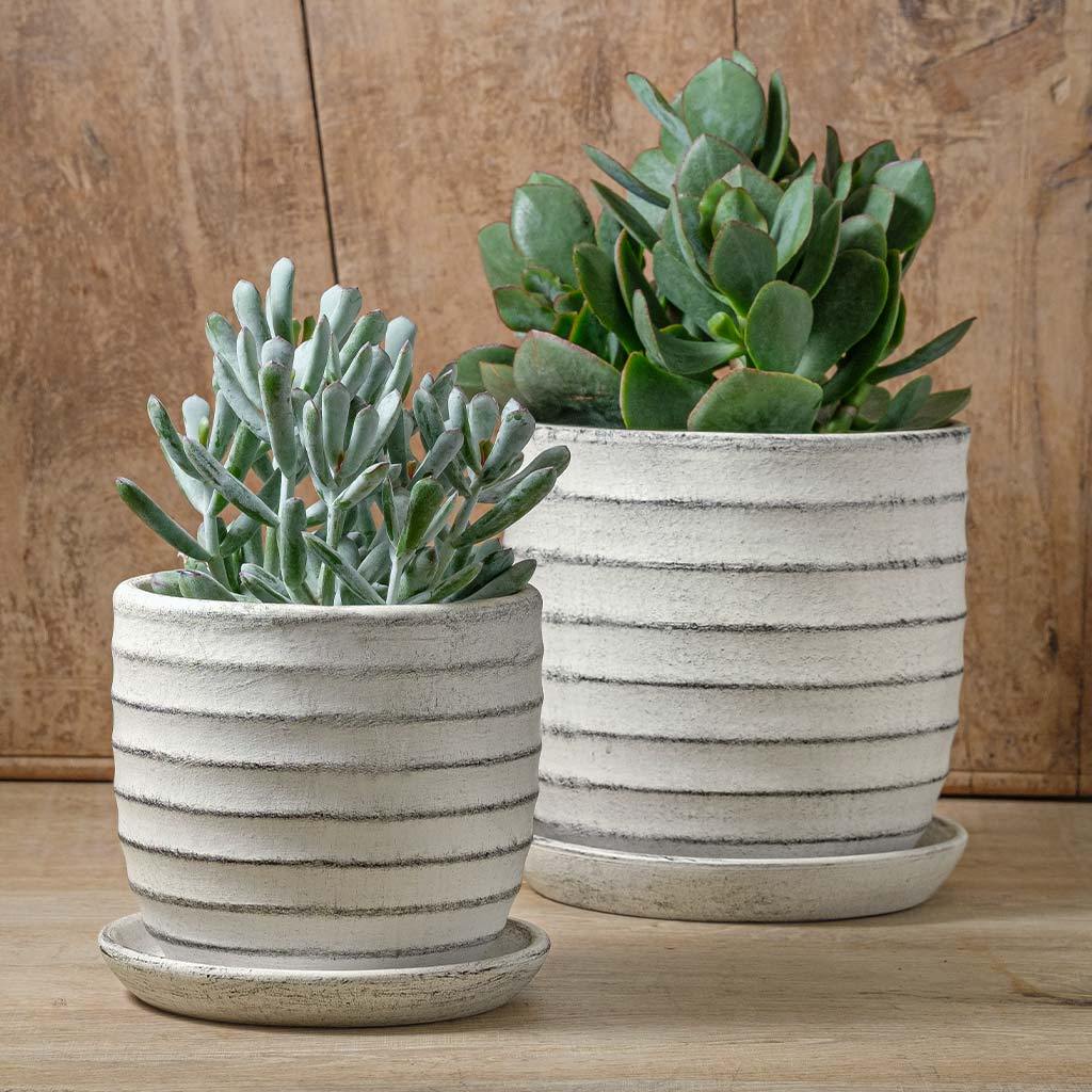 Parallel Planter || Dusty White