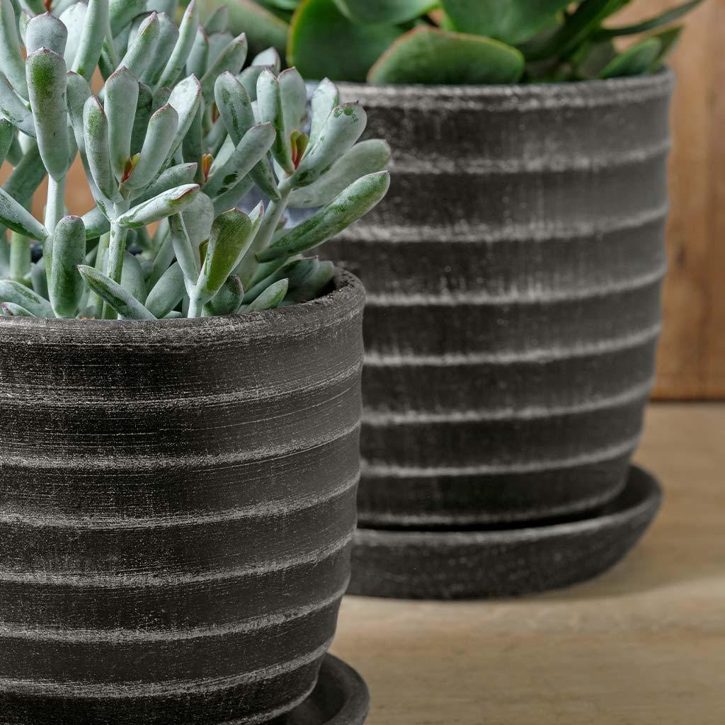 Parallel Planter || Dusty Black