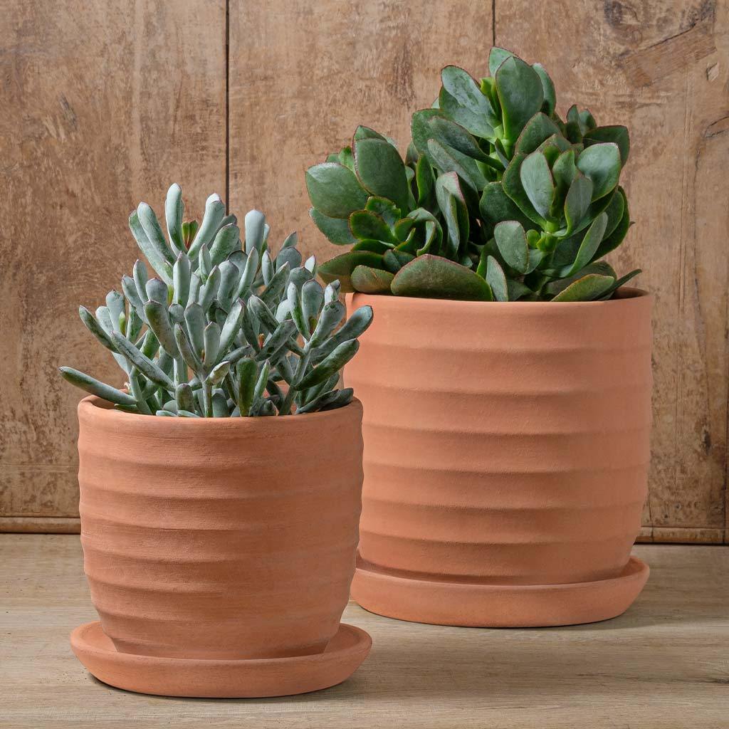 Parallel Planter || Terra Cotta