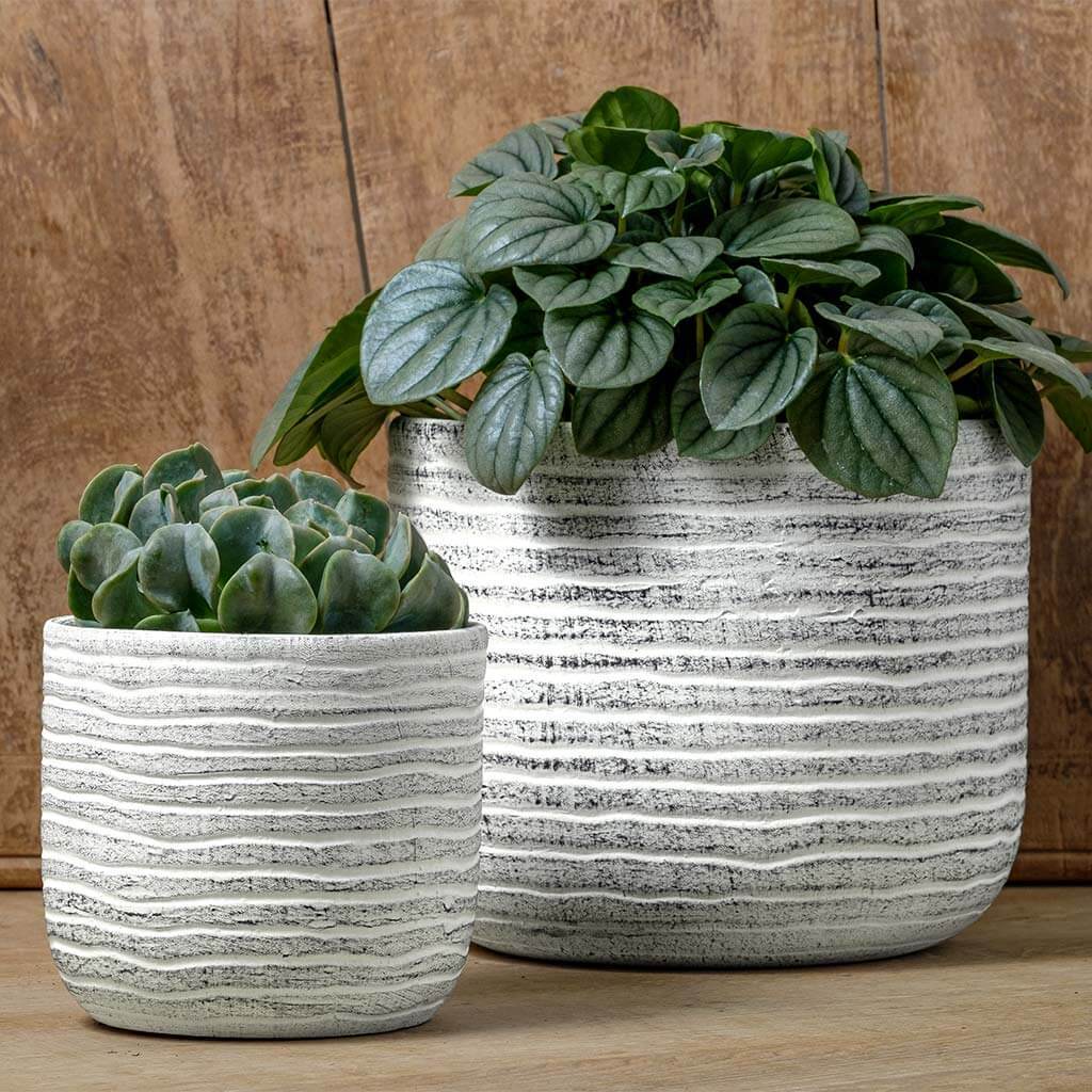 Drift Planter || Dusty White