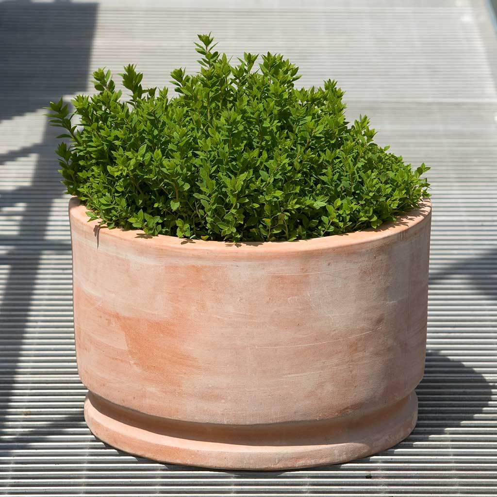 Jardinera Amelie || Terracota 