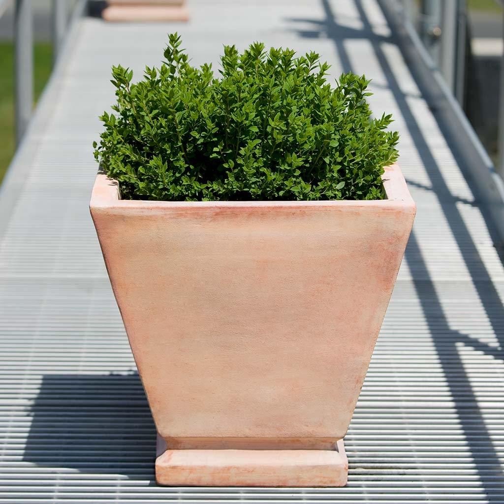 Jardinera Lisburn || Terracota
