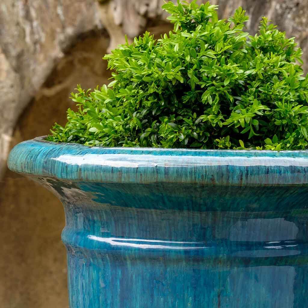 Beldon Urne || Mediterran