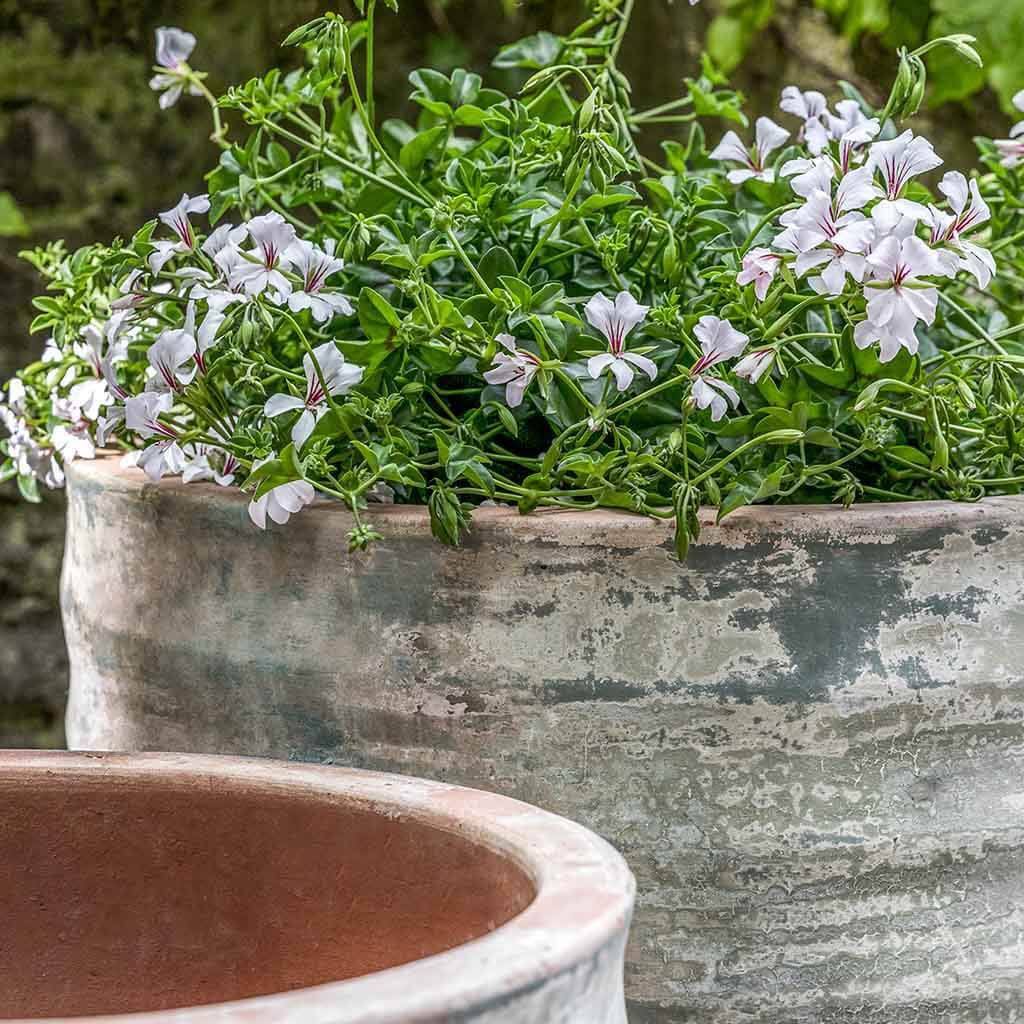 Jardinera Sistina || Terra Vicolo