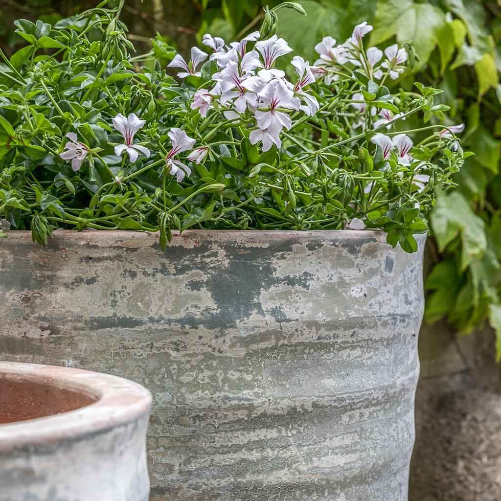 Vaso Sistina || Vicolo Terra