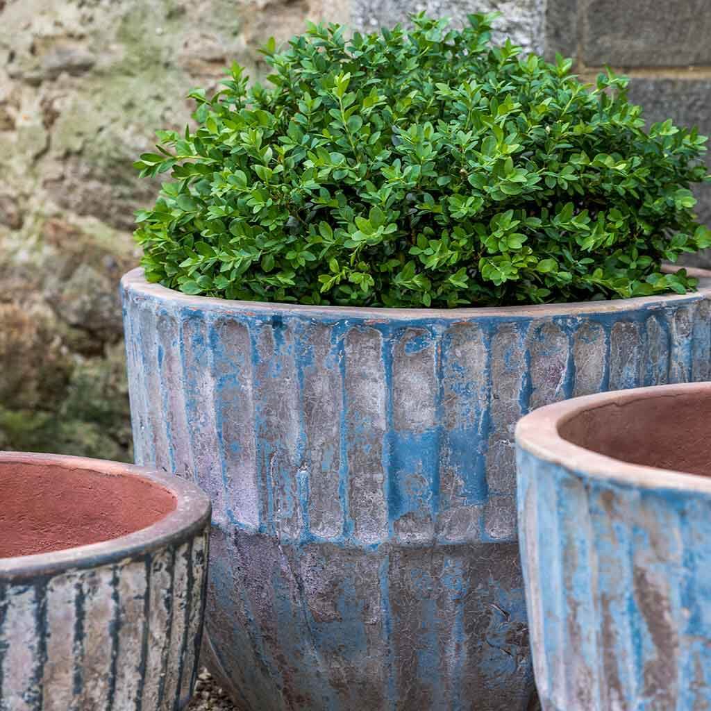 Vaso Velia || Vicolo Mare