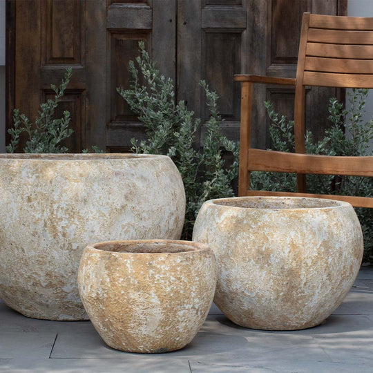 Vaso Coronado || Vicolo Gesso