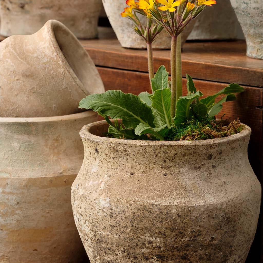 Colleccion de Jardinera Vicolo || Surtido Vicolo