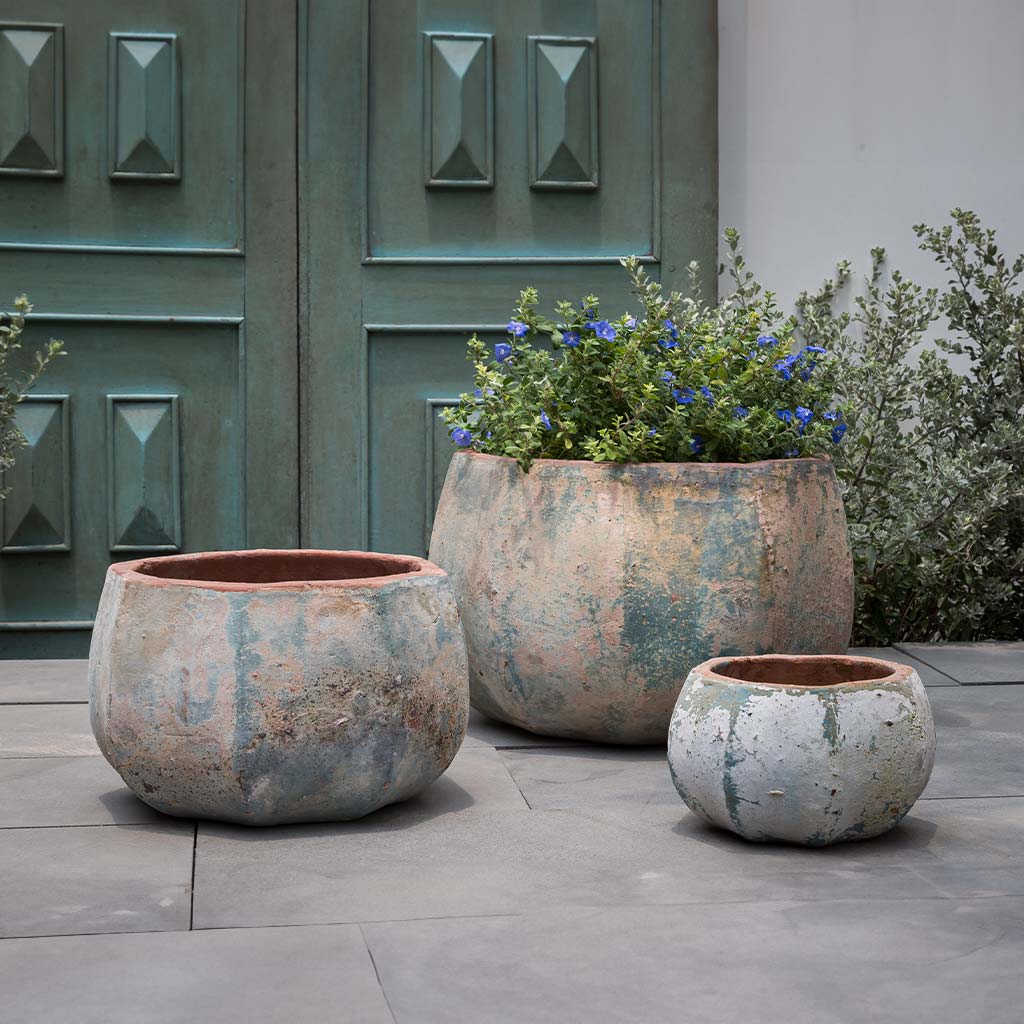 Anselmo Planter || Vicolo Terra