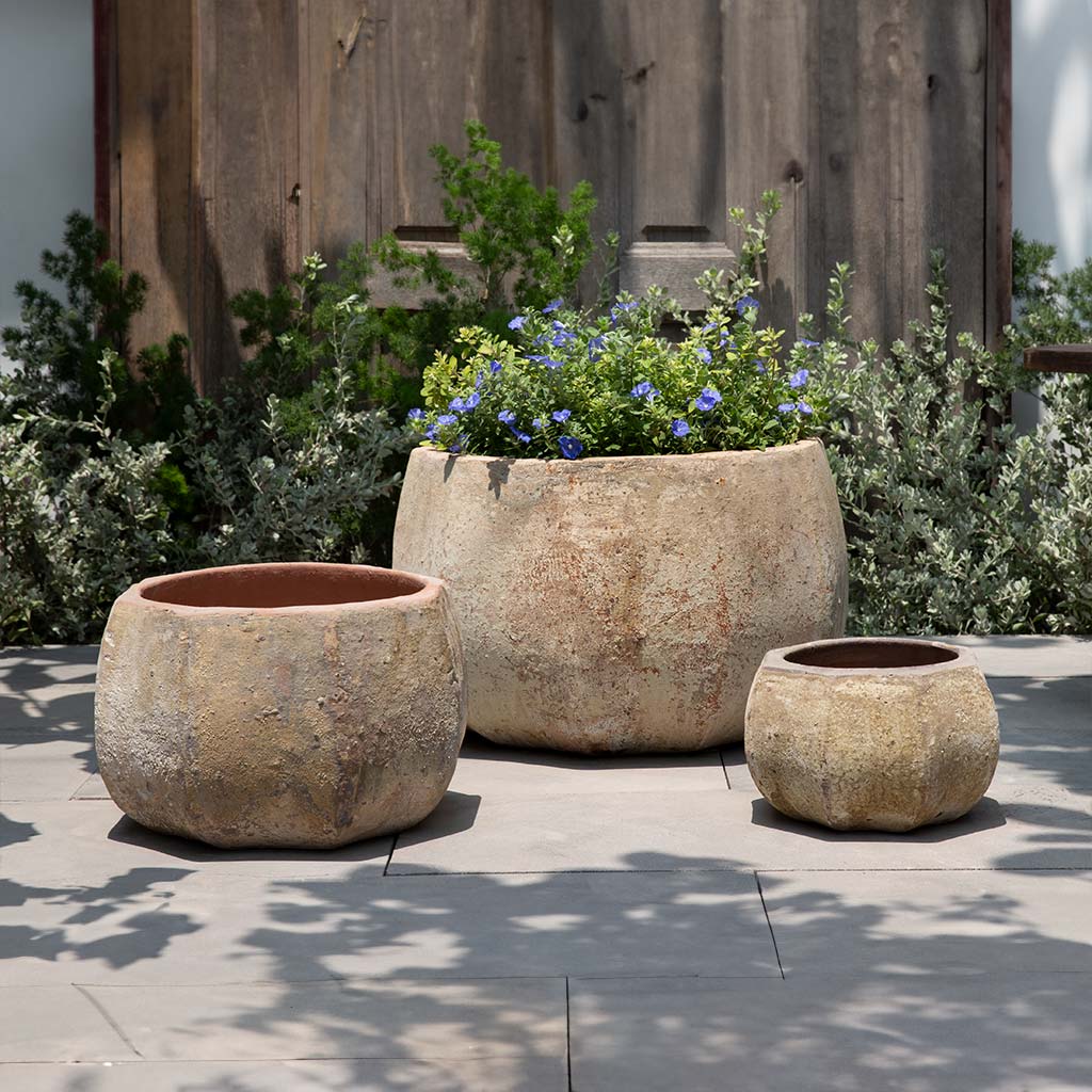 Anselmo Planter || Vicolo Muro