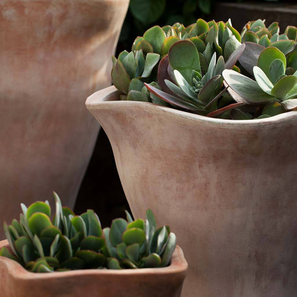 Jardinera Foxglove Alta || Terracota