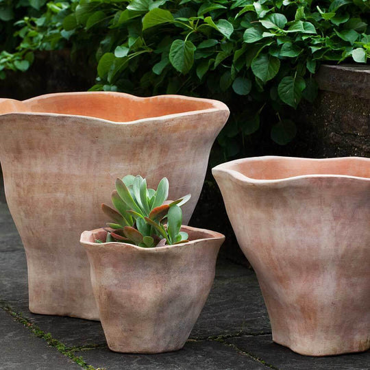 Foxglove Planter || Terra Cotta