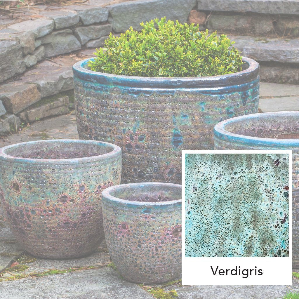 Vaso Aspara || Verdigris