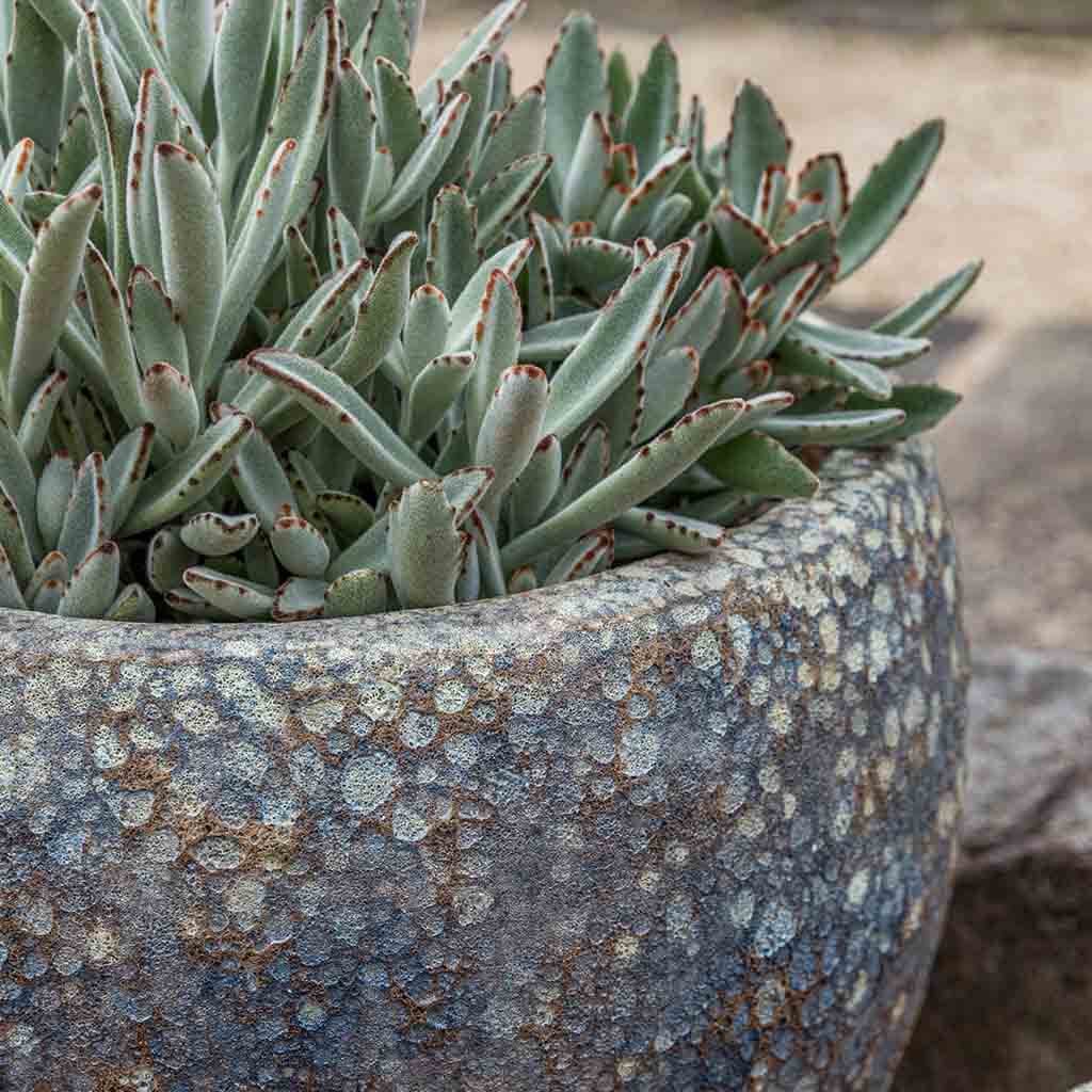 Symi Planter || Starry Night