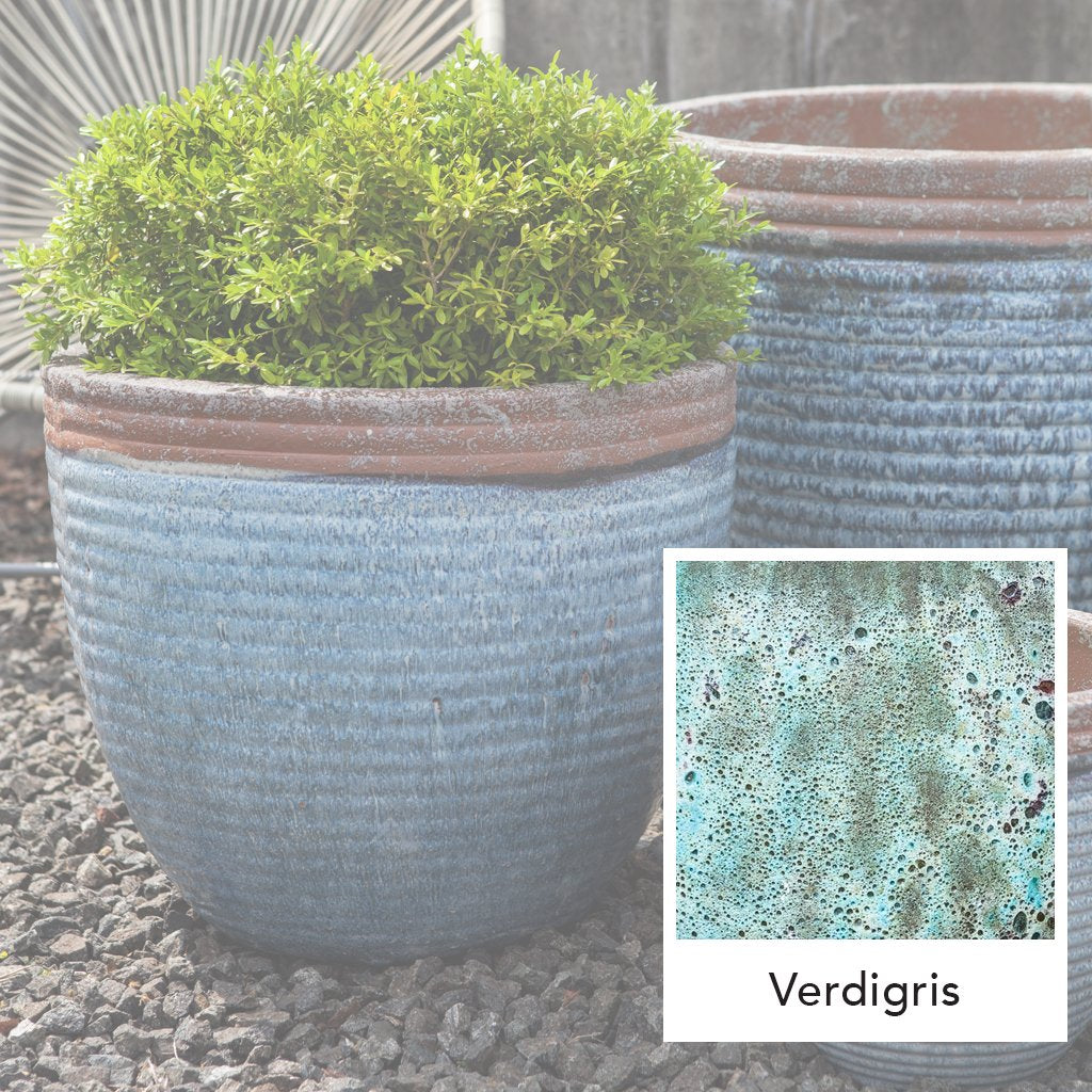 Vaso Nevis || Verdigris