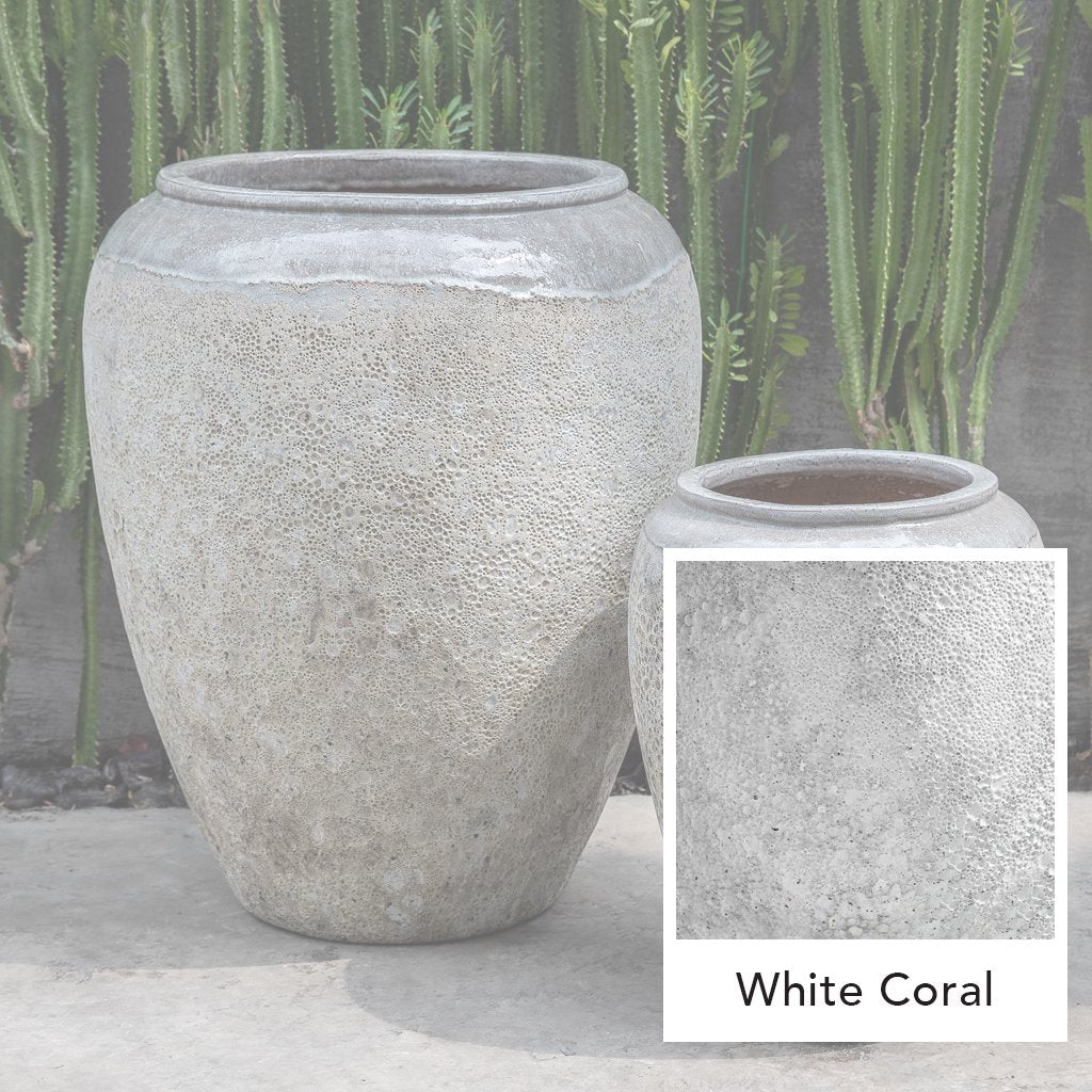 Jarre Sureda || Corail Blanc