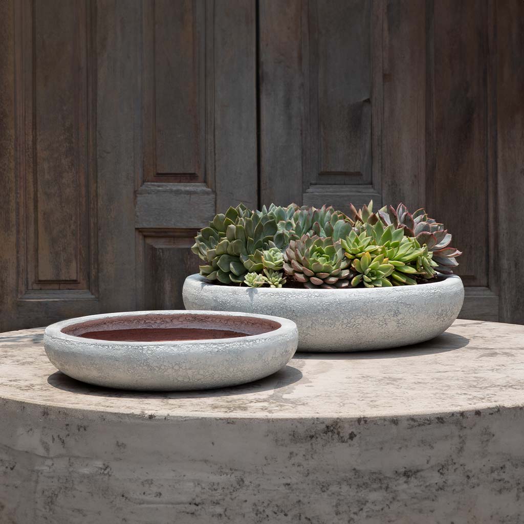 Nico Bowl || White Coral