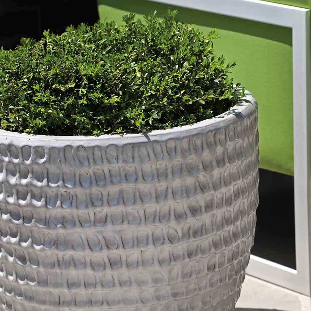 Jardinera Dimple || Blanco Antiguo