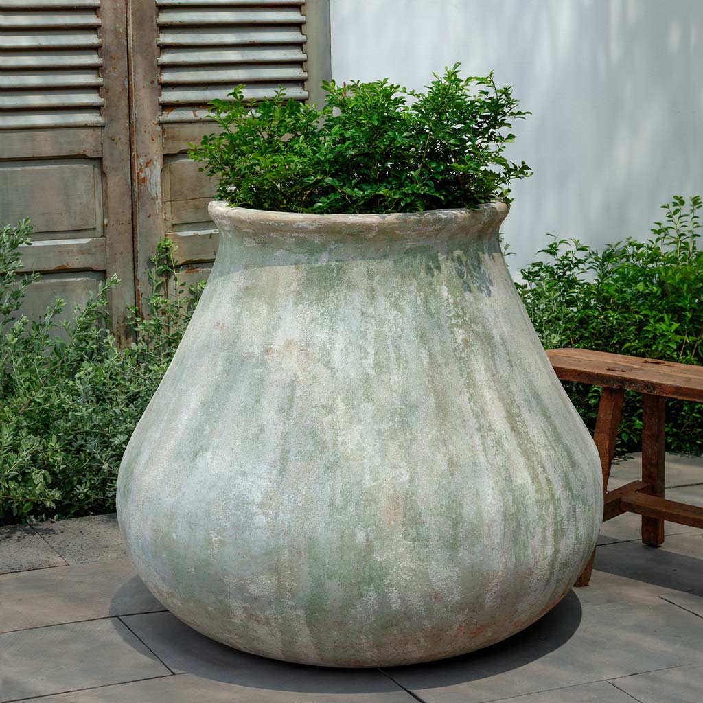 Venasque Jar || Murano Fresco