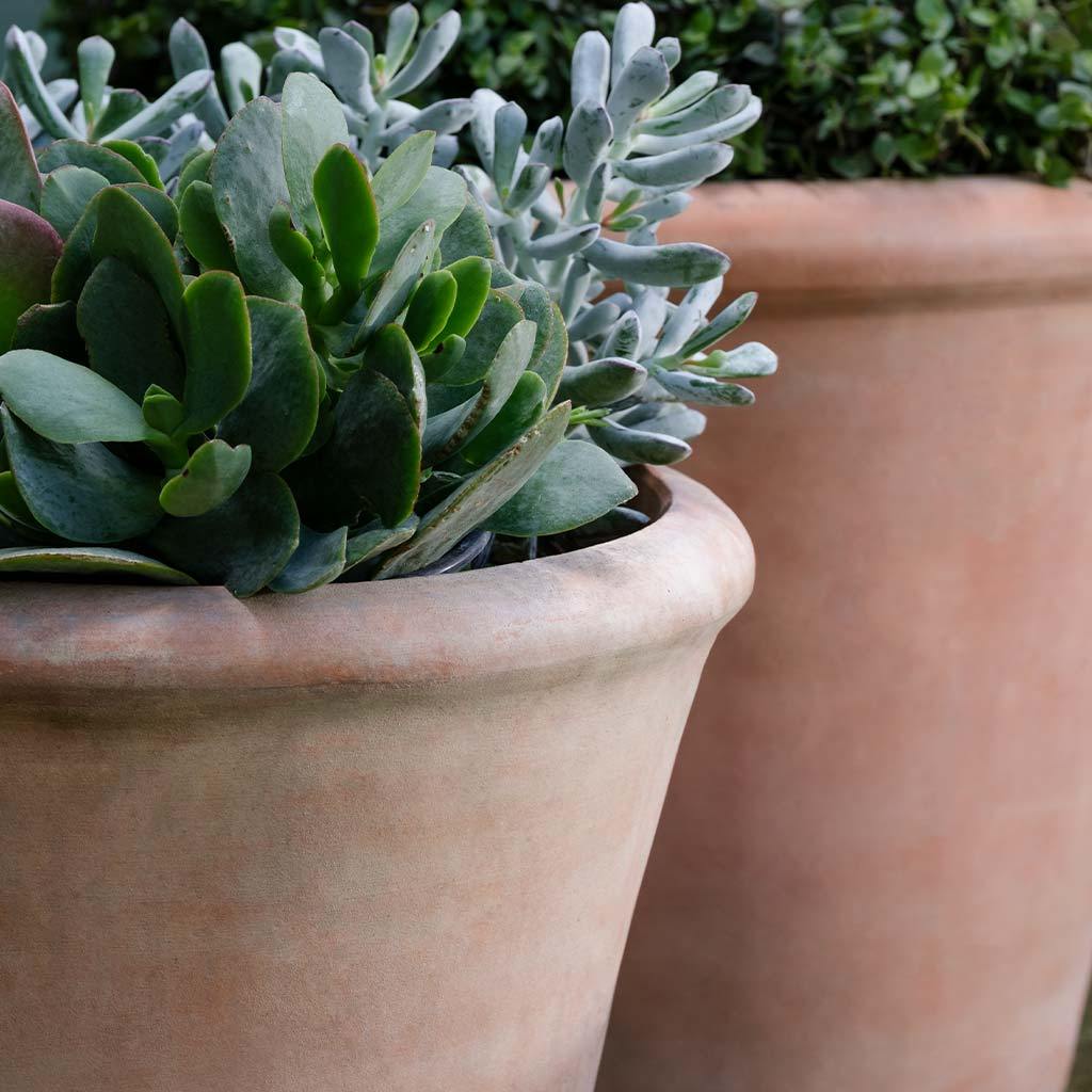 Cortona Planter, Small || Terra Cotta