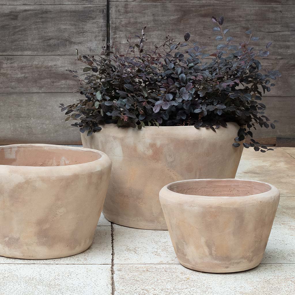 Whitby Planter || Antico Terra Cotta