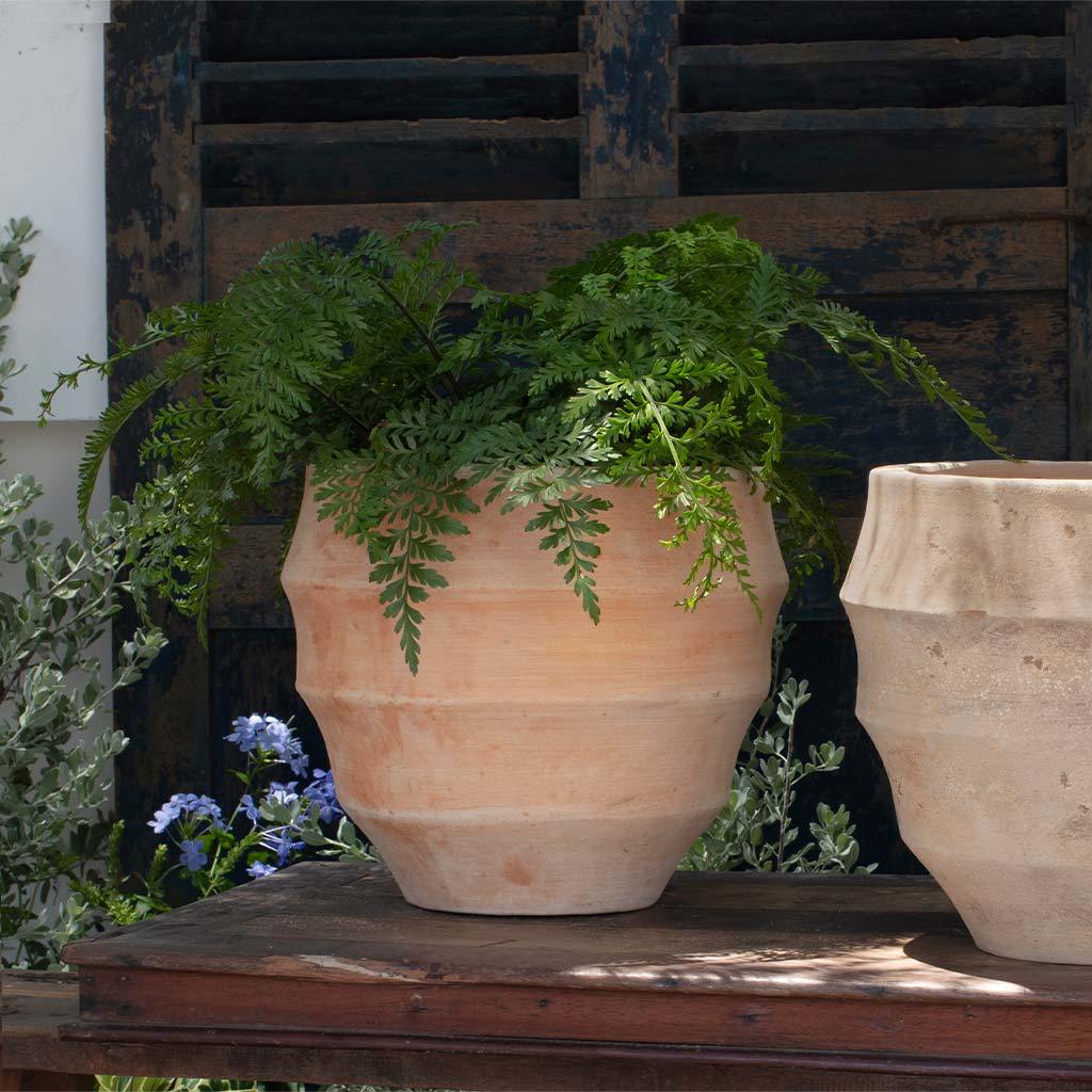 Malaga Planter || Terra Cotta