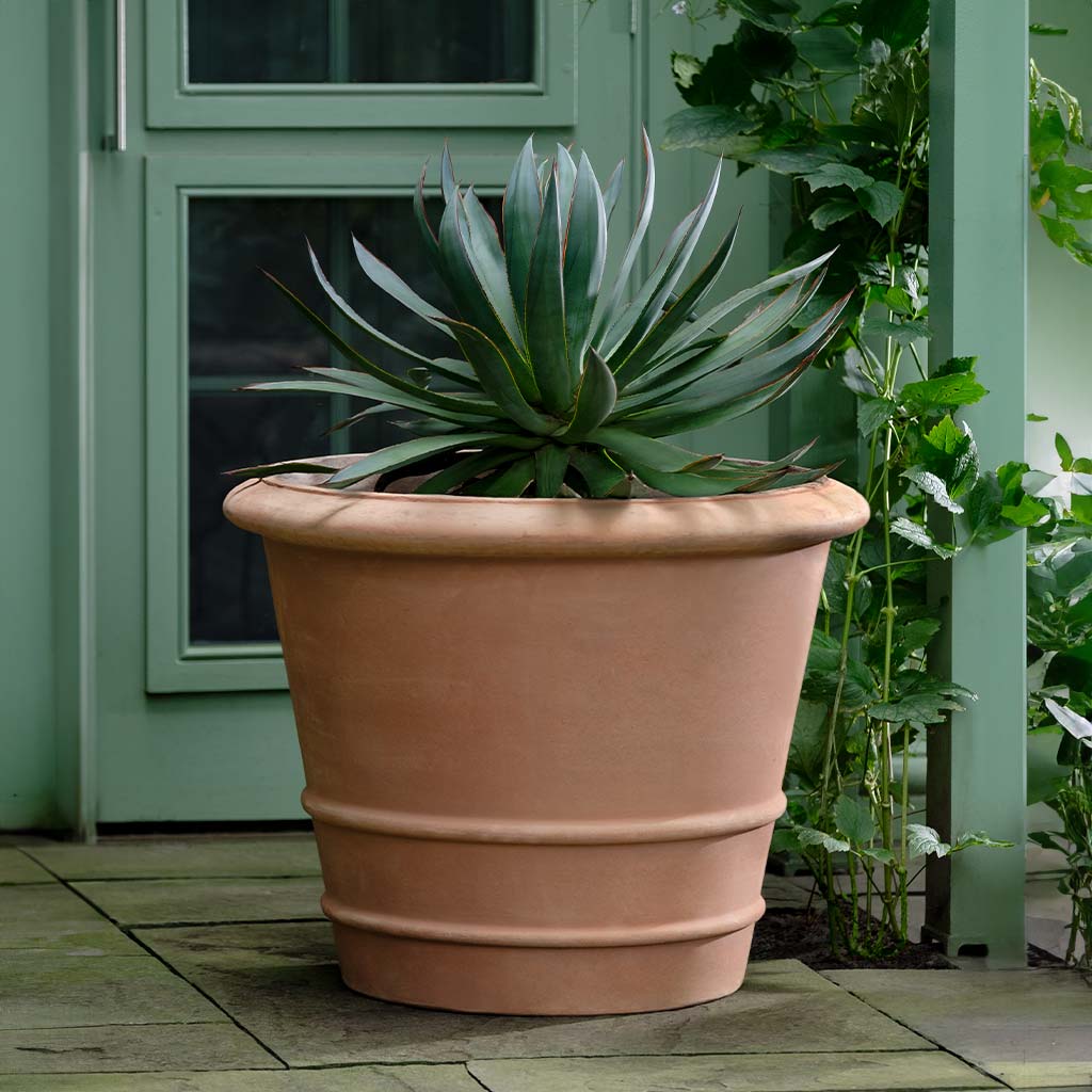 Pienza Planter || Terra Cotta