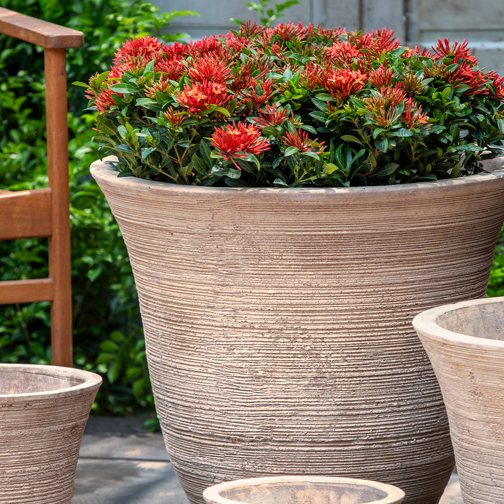 Jardinera Lapo || Terracota Antico