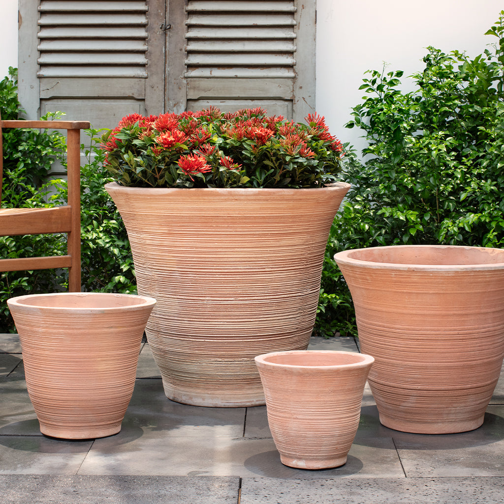 Jardinera Lapo || Terracota