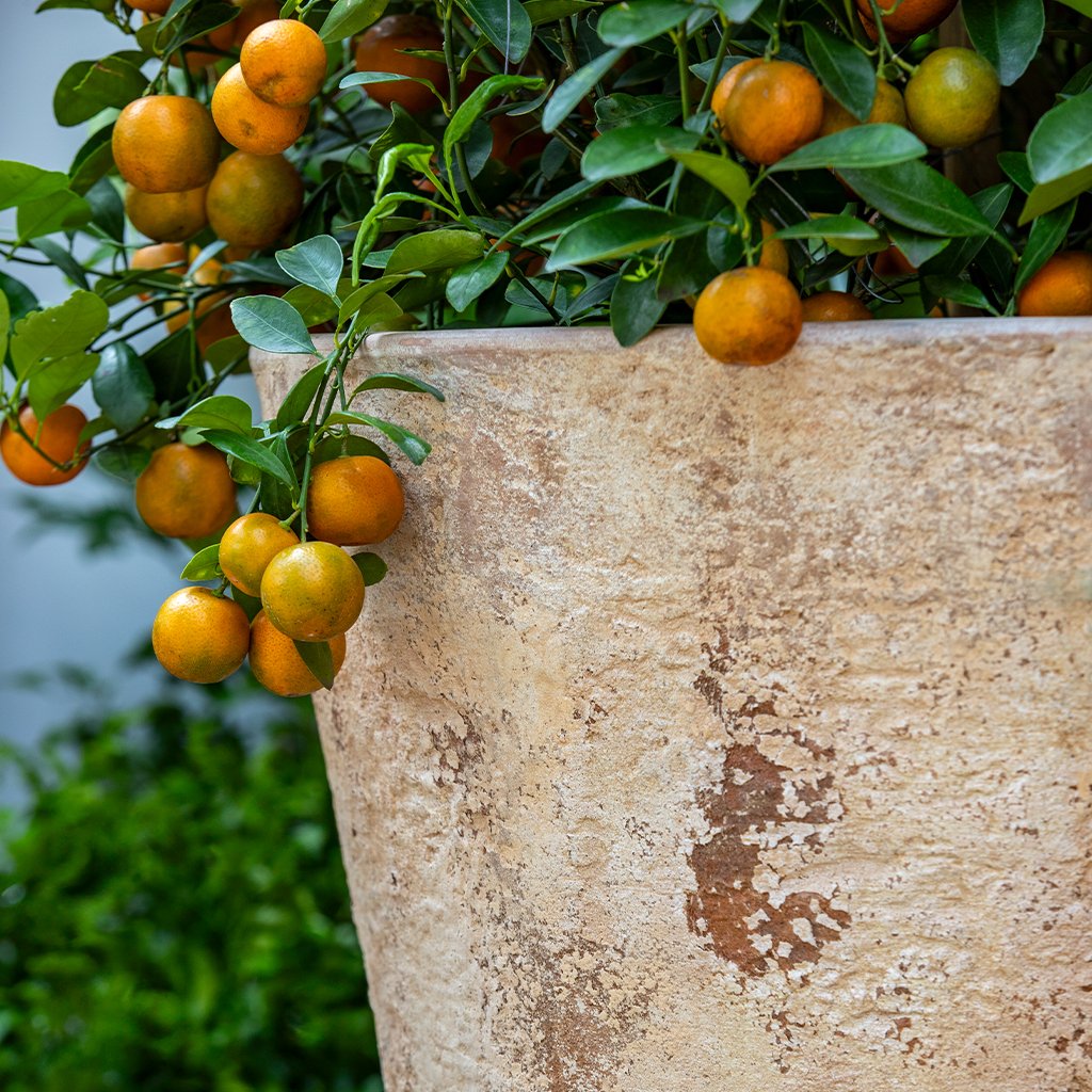 Catena Planter 20" || Antico Terra Cotta
