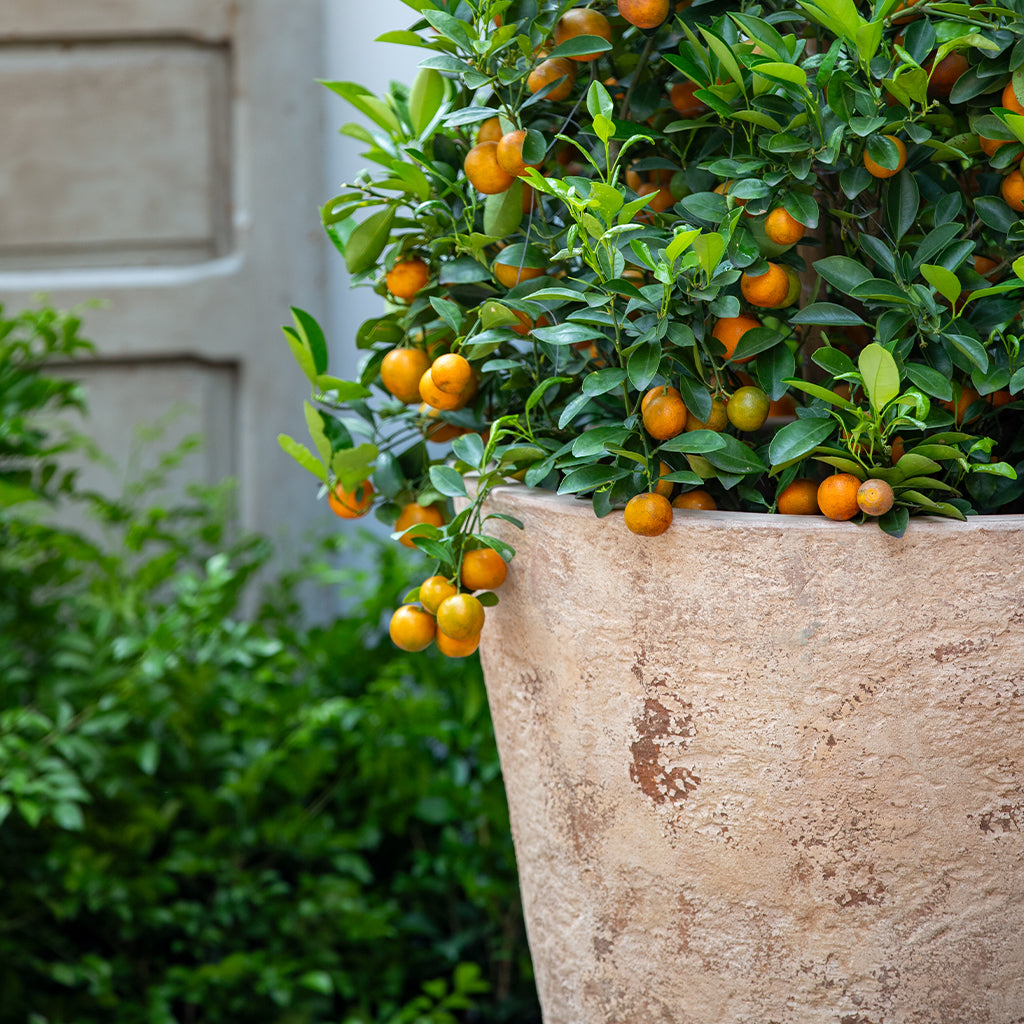 Catena Planter 24" || Antico Terra Cotta