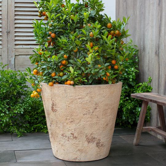 Catena Planter 24" || Antico Terra Cotta