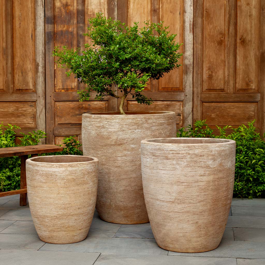 Ribera Planter || Brown Terra Cotta