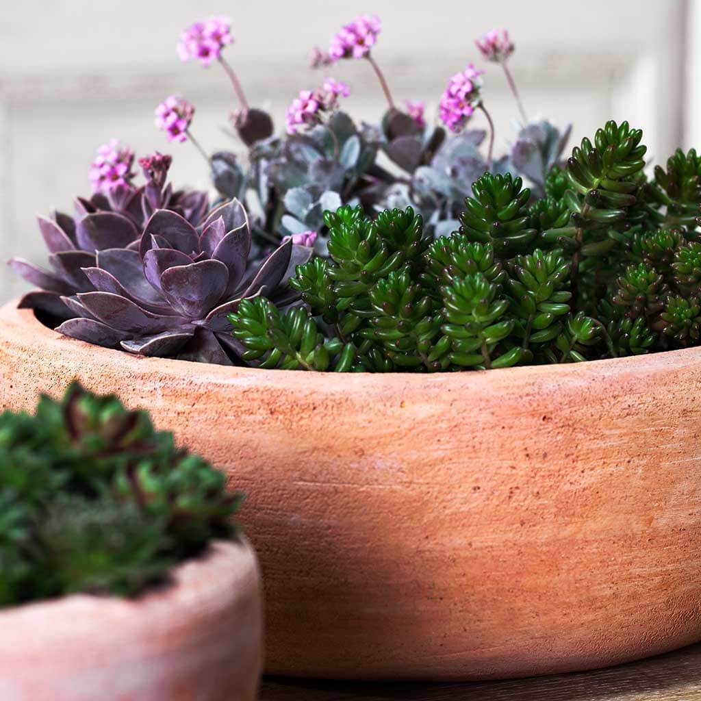 Annalise Planter || Terra Cotta