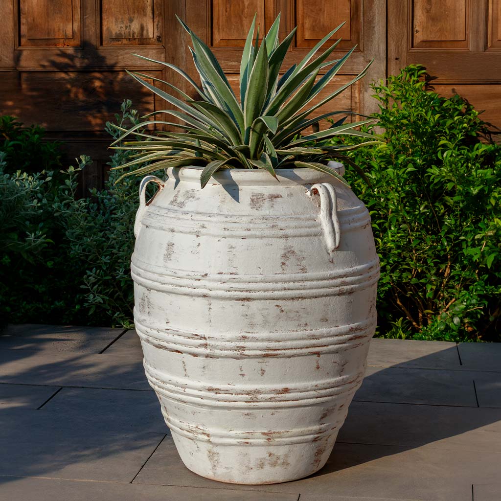Tavira Jar || Whitewash