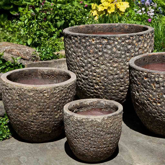 Bolivar Planter || Angkor