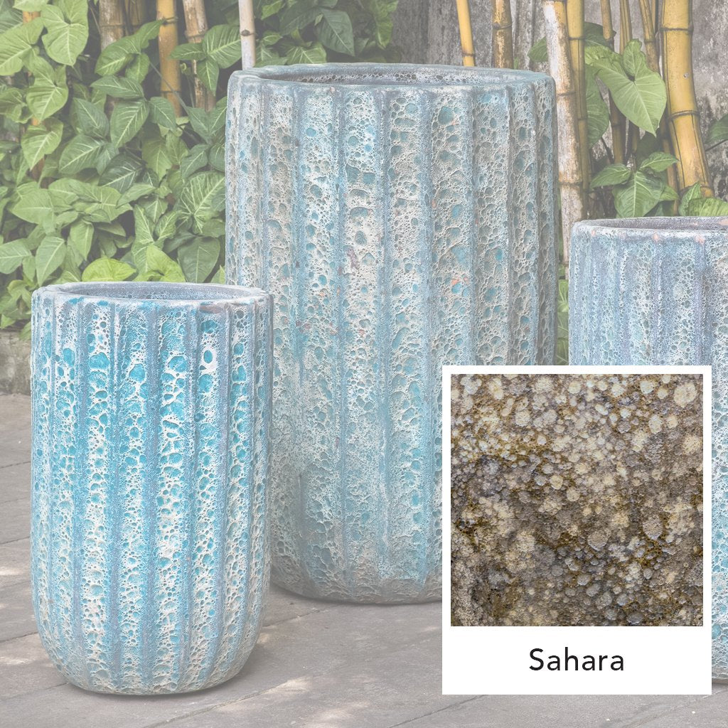 Maris Plantenbak, Lang || Sahara