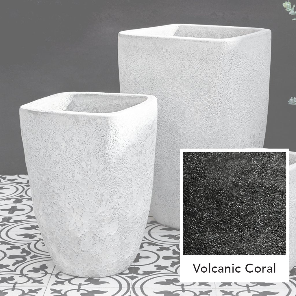 Teo Planter || Volcanic Coral