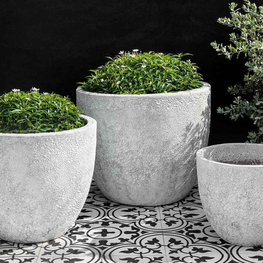 Caipirinha Planter || White Coral
